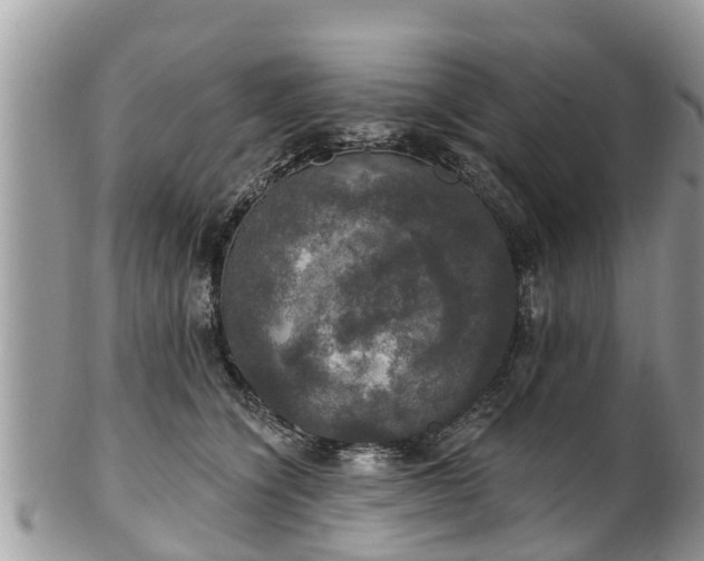 X0000102040564200807251417