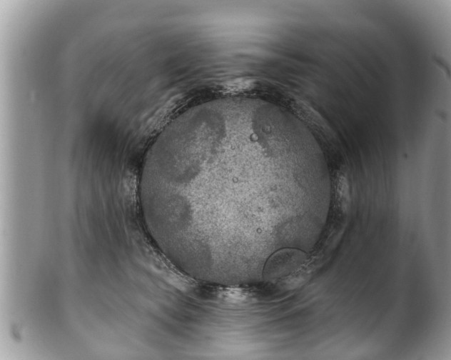 X0000102040565200807251417