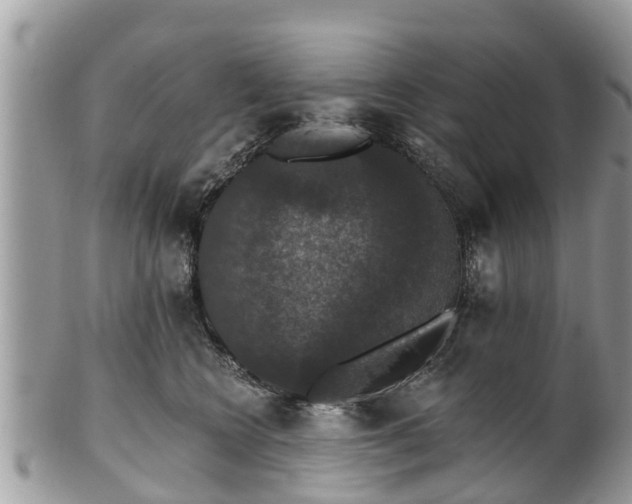 X0000102040566200807251417