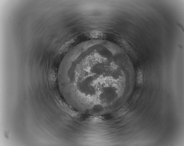 X0000102040569200807251417