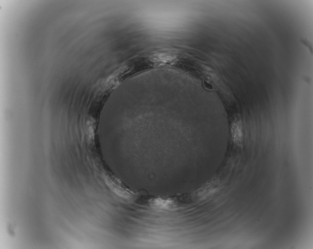 X0000102040570200807251417