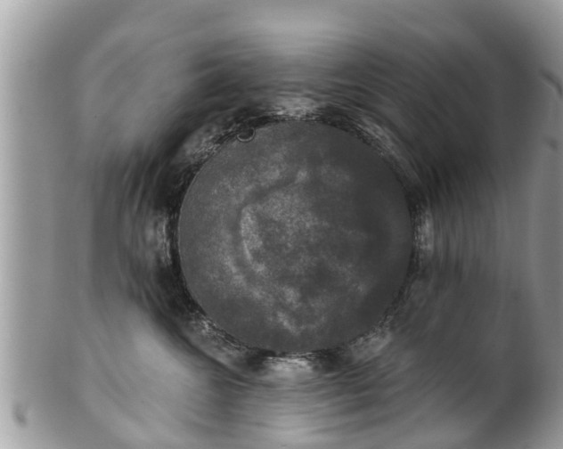 X0000102040572200807251417