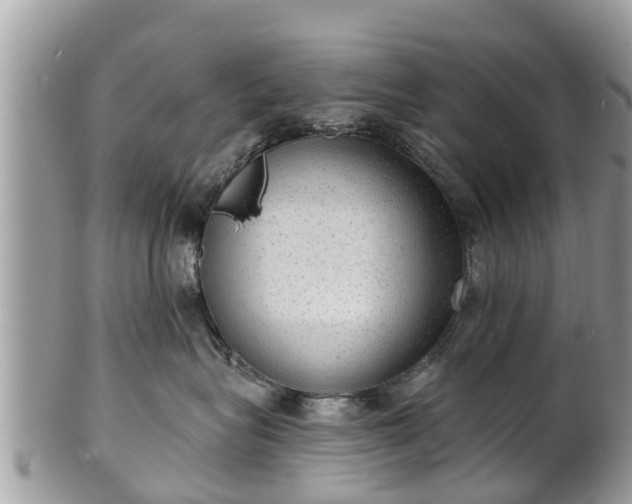 X0000102040575200807251417