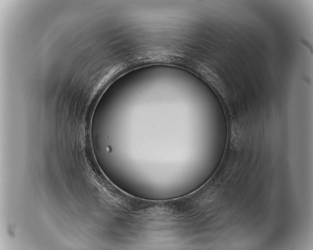 X0000102040578200807251416