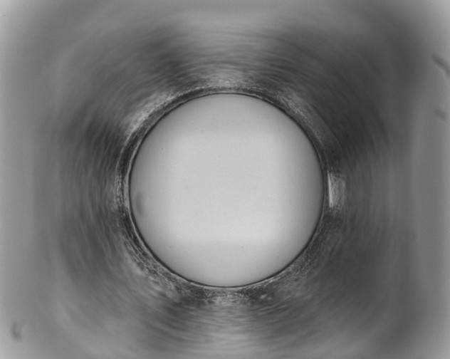 X0000102040579200807251416