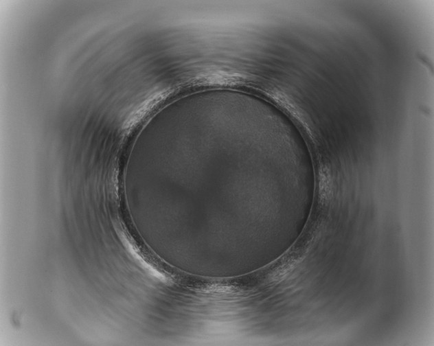 X0000102040581200807251416