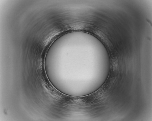 X0000102040583200807251416