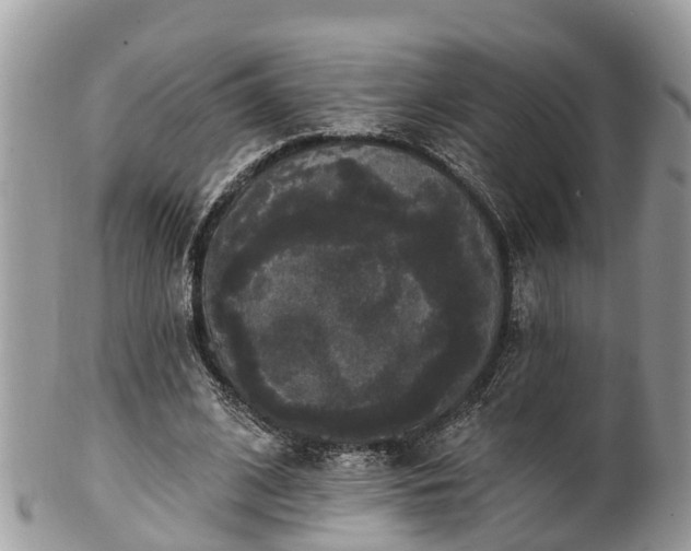 X0000102040584200807251416