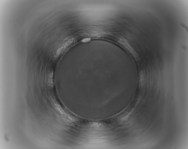 X0000102040585200807251416