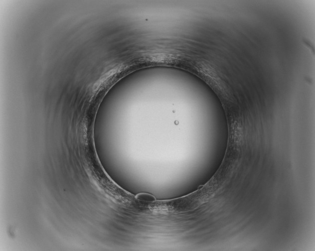 X0000102040587200807251416