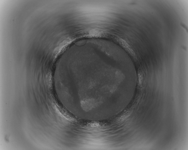 X0000102040588200807251416