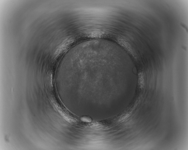 X0000102040589200807251416