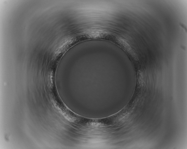 X0000102040590200807251416