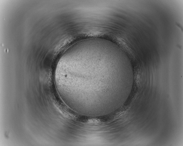 X0000102040591200807251416