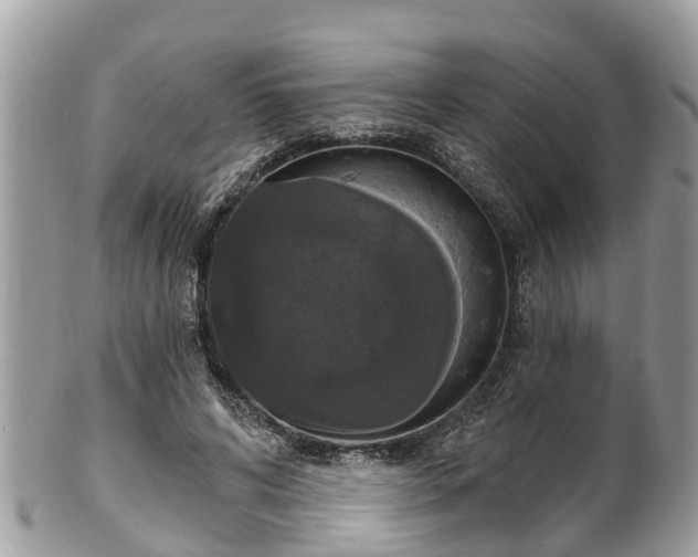 X0000102040592200807251416