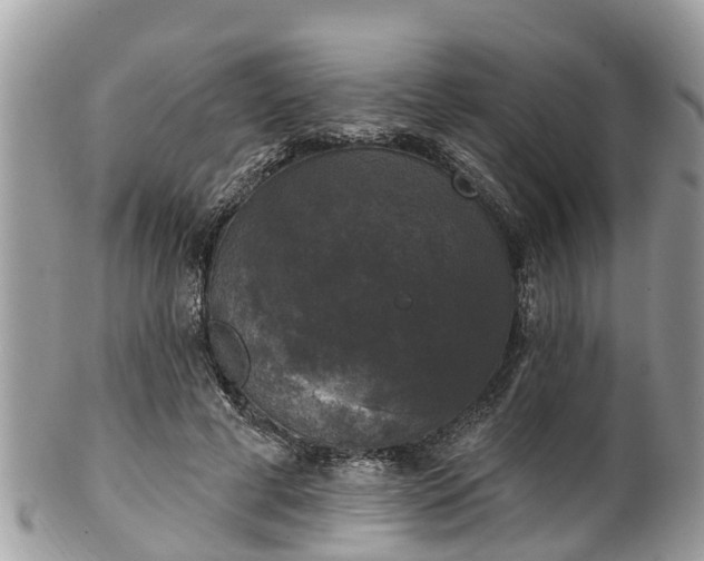 X0000102040593200807251416