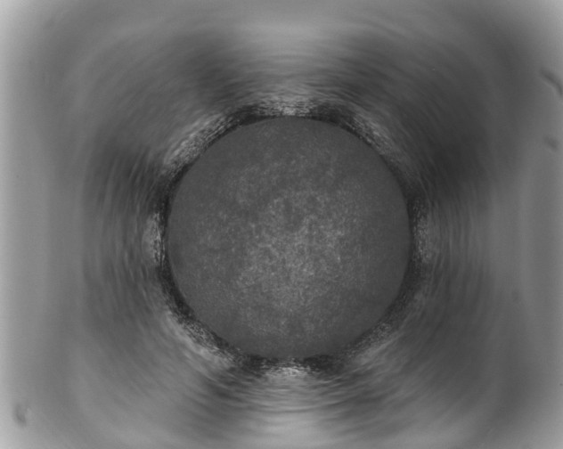 X0000102040594200807251416