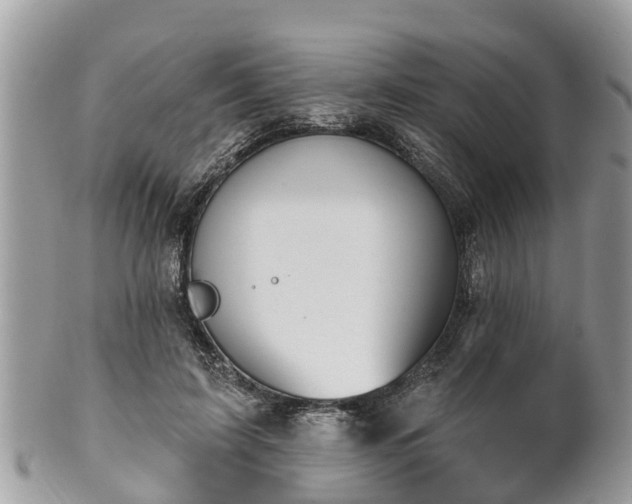 X0000102040595200807251416