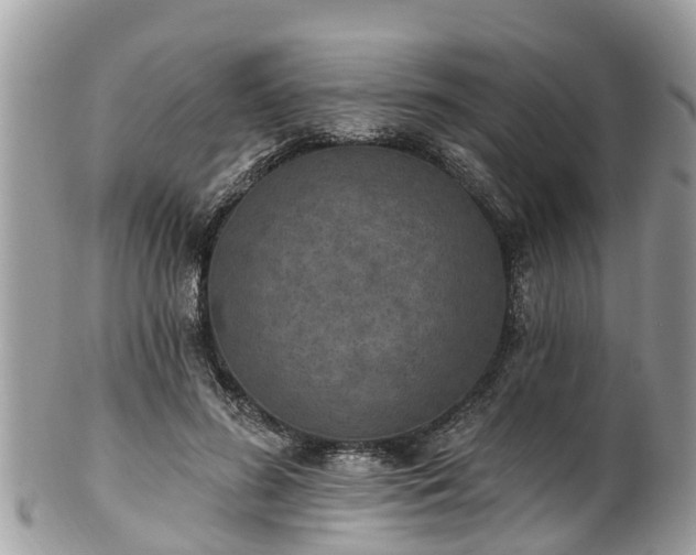 X0000102040596200807251416