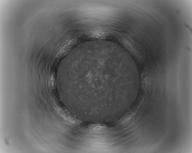 X0000102040597200807251416