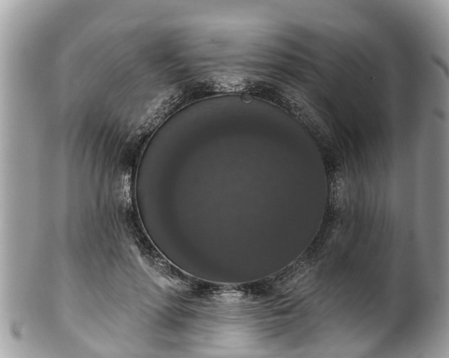 X0000102040598200807251416