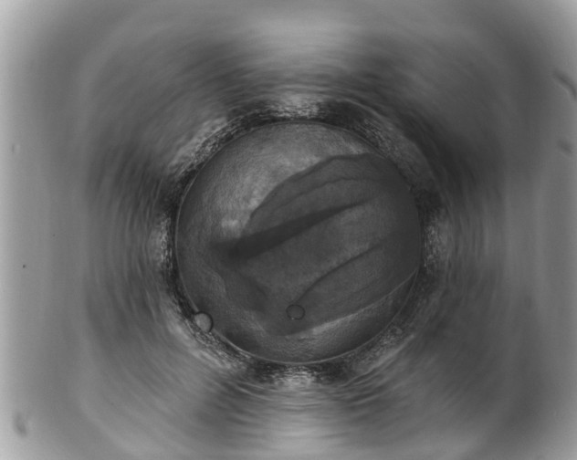 X0000102040600200807251416