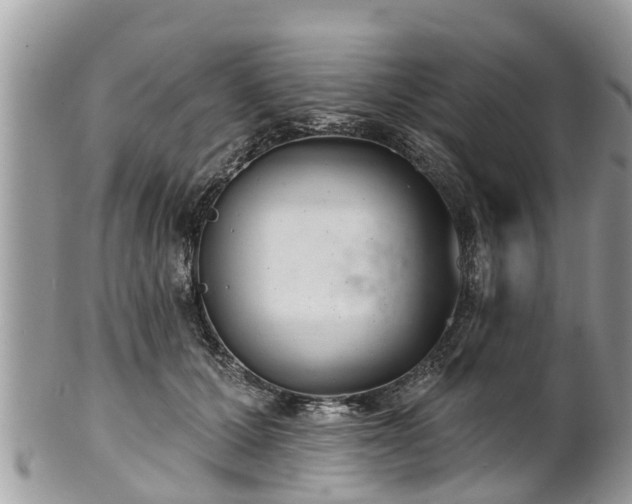 X0000102040607200807251416