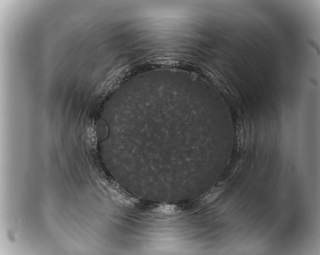 X0000102040609200807251416