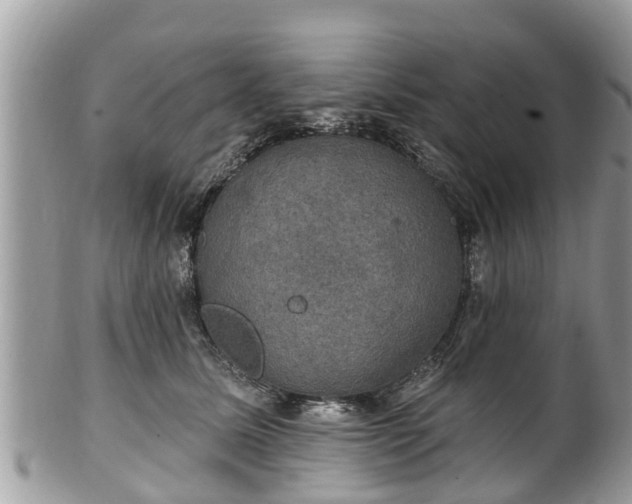 X0000102040611200807251416