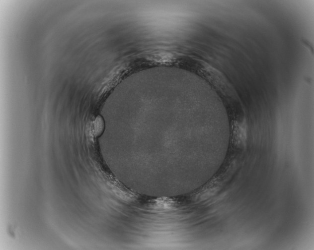 X0000102040612200807251416