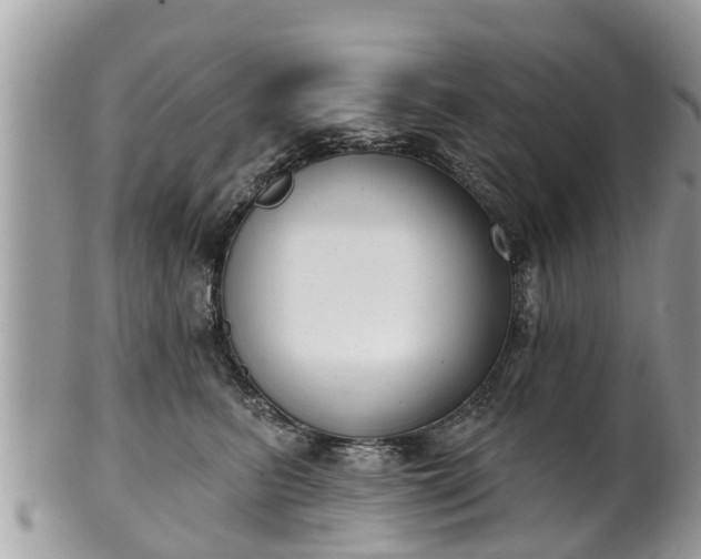 X0000102040615200807251416