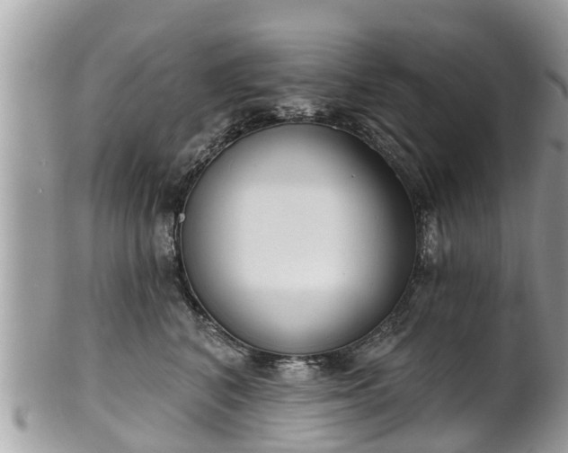 X0000102040616200807251416