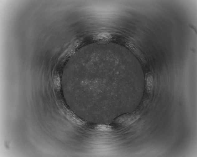 X0000102040617200807251416