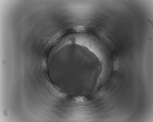 X0000102040618200807251416