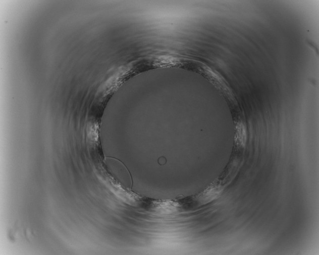 X0000102040621200807251416