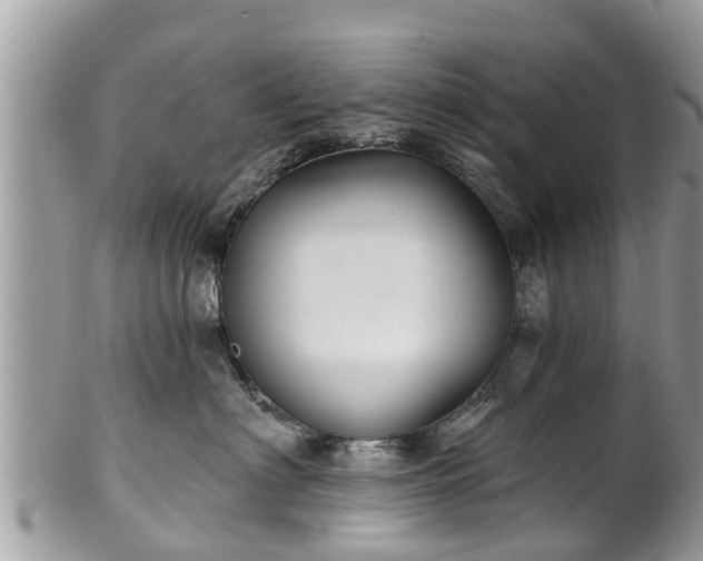 X0000102040622200807251416