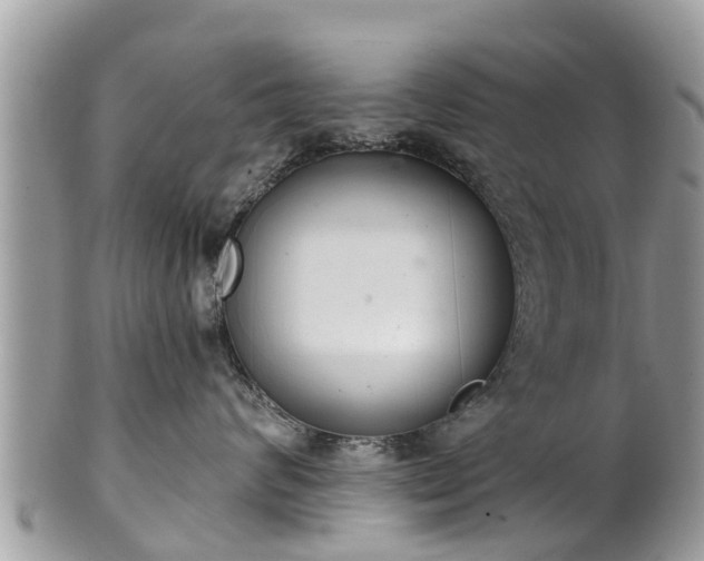 X0000102040624200807251416