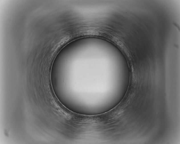 X0000102040625200807251415