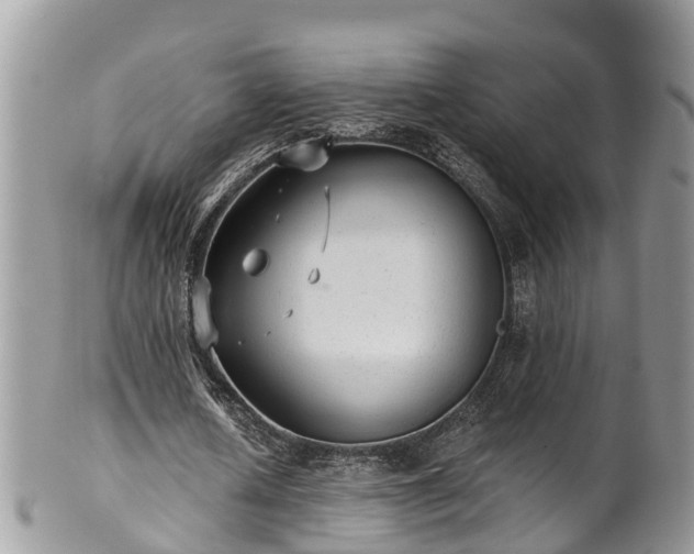 X0000102040626200807251415