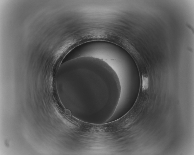 X0000102040627200807251415