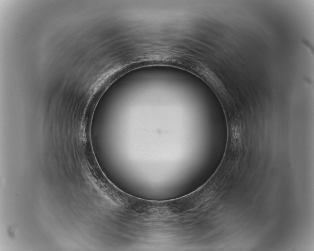 X0000102040628200807251415