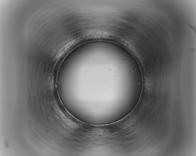 X0000102040629200807251415