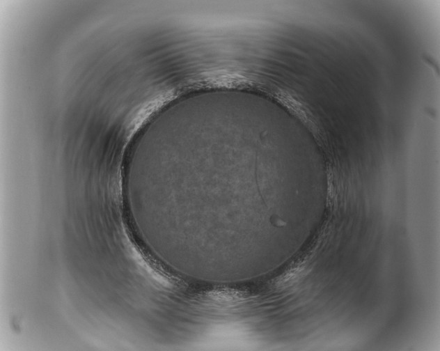 X0000102040630200807251415