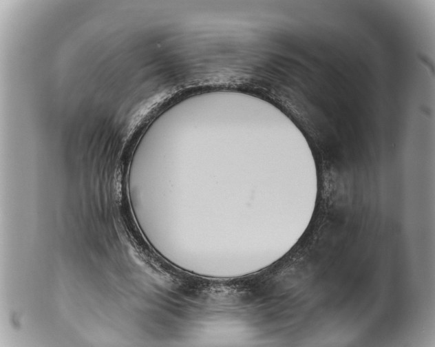 X0000102040632200807251415