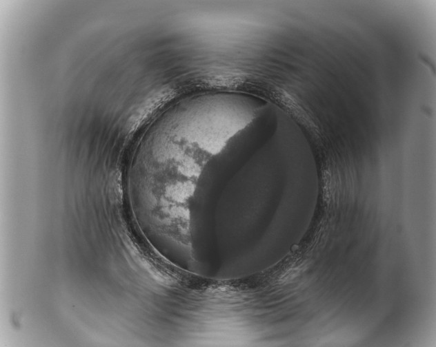 X0000102040634200807251415