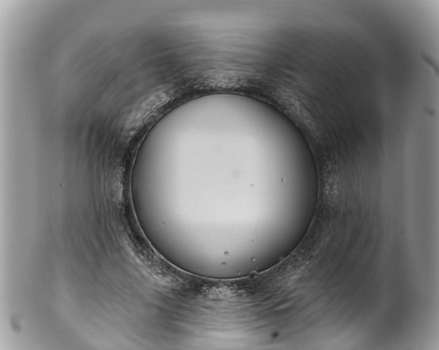 X0000102040635200807251415