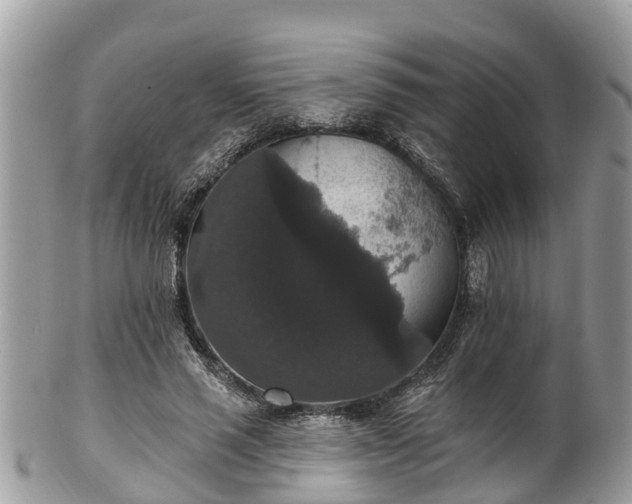 X0000102040637200807251415