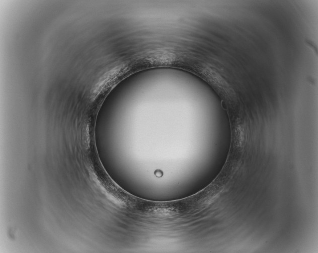 X0000102040638200807251415