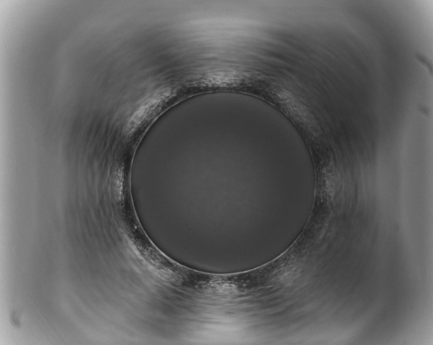 X0000102040640200807251415