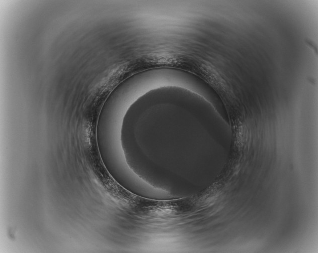 X0000102040643200807251415